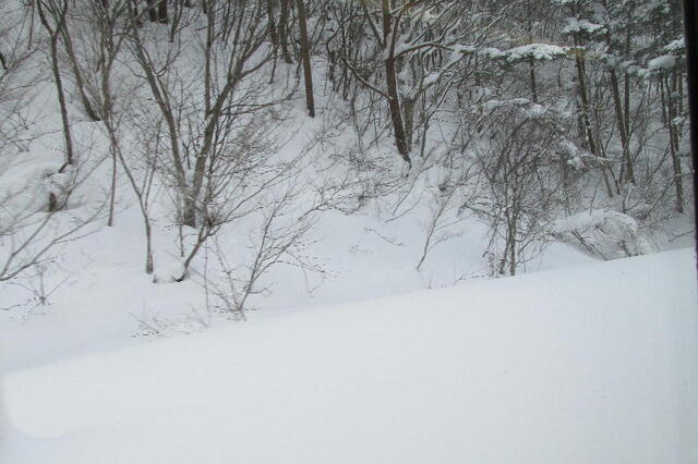 IMG_1081b.jpg