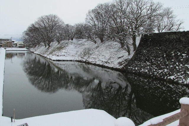 IMG_1111b.jpg