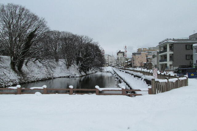 IMG_1115b.jpg