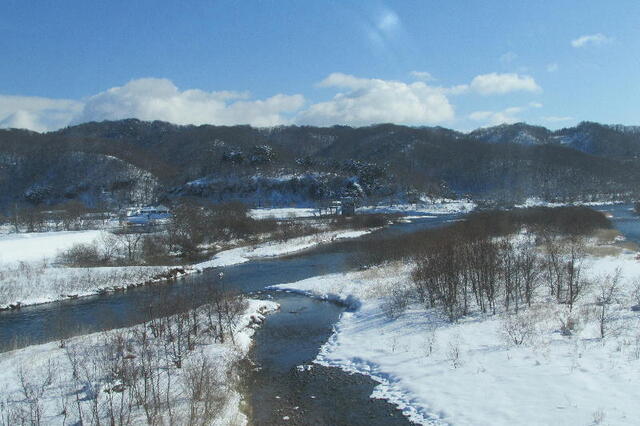 IMG_1131b.jpg