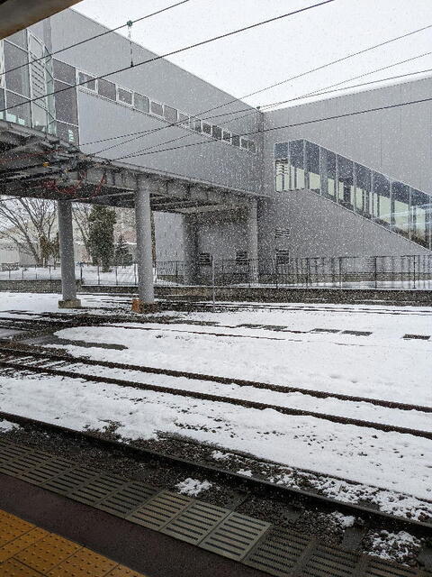 PXL_20230117_015930750b.jpg