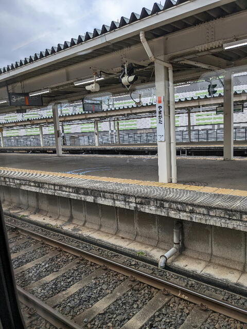 PXL_20230117_030624964b.jpg