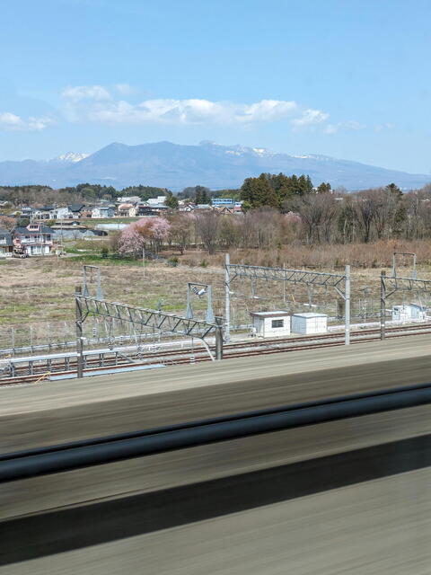 PXL_20240413_015535946b.jpg