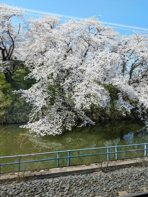 PXL_20240413_033728319b.jpg