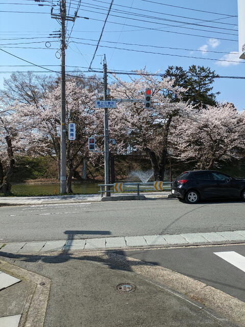 PXL_20240413_050456734b.jpg