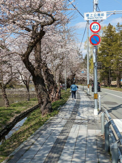 PXL_20240413_050603518b.jpg
