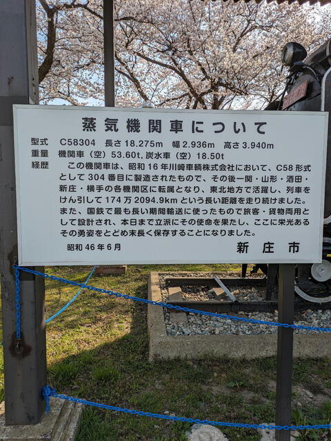 PXL_20240413_061646137b.jpg