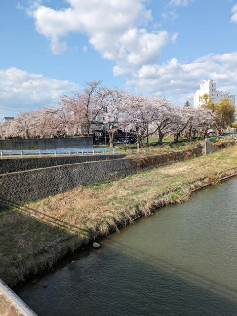 PXL_20240413_062438362b.jpg