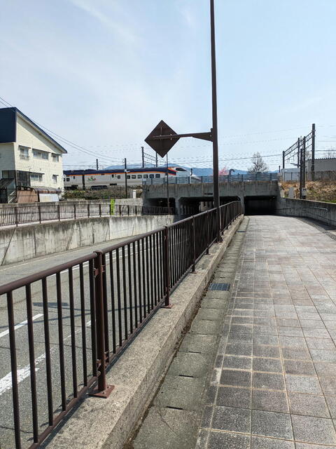 PXL_20240414_005541276b.jpg
