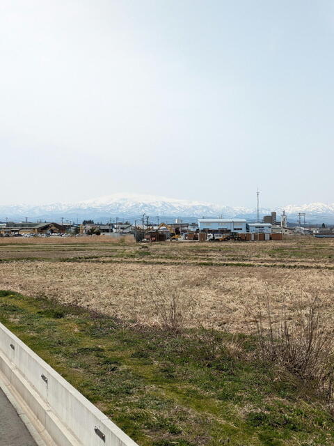 PXL_20240414_015531061b.jpg