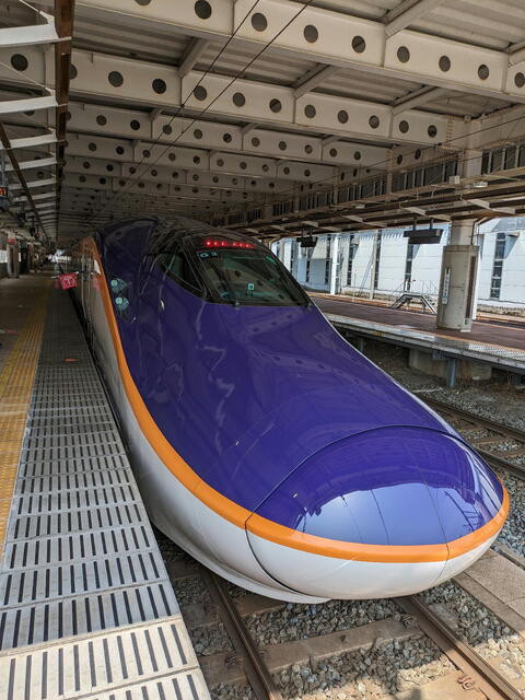 PXL_20240414_034342527b.jpg